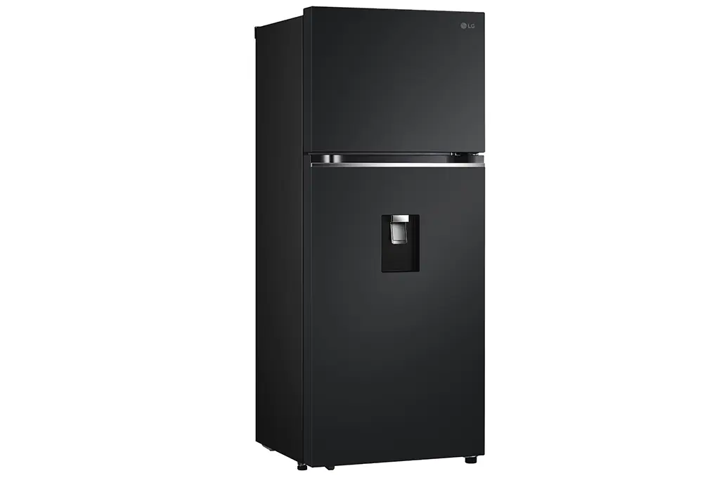 Tủ lạnh LG Inverter 374 Lít LTD37BLM - ảnh 4