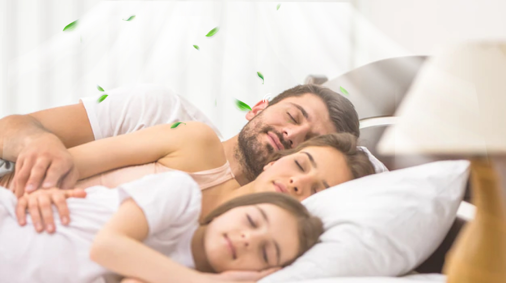 Ảnh mô tả sản phẩm