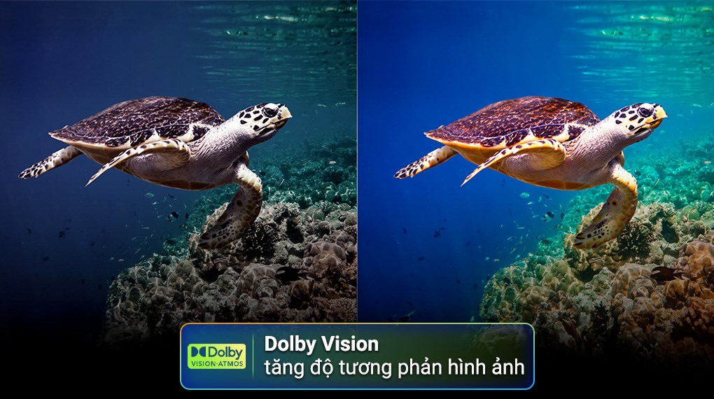 Smart Tivi Toshiba AI 4K 55 inch 55C350RP - ảnh 3