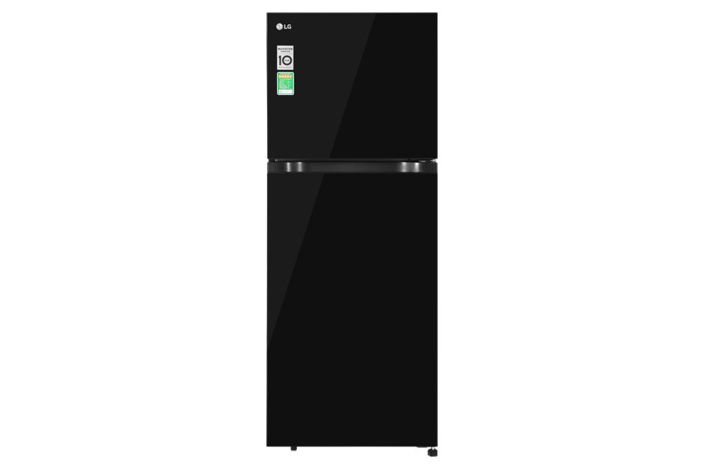 Tủ lạnh LG Inverter 217 lít T21BG - ảnh mô tả