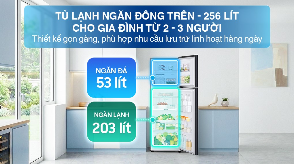 Tủ lạnh Samsung Inverter 256 lít RT25M4032BU/SV - ảnh 3