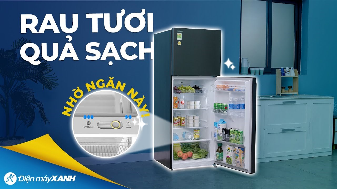 Tủ lạnh Toshiba Inverter 312 lít GR-RT416WE-PMV(58)-MM